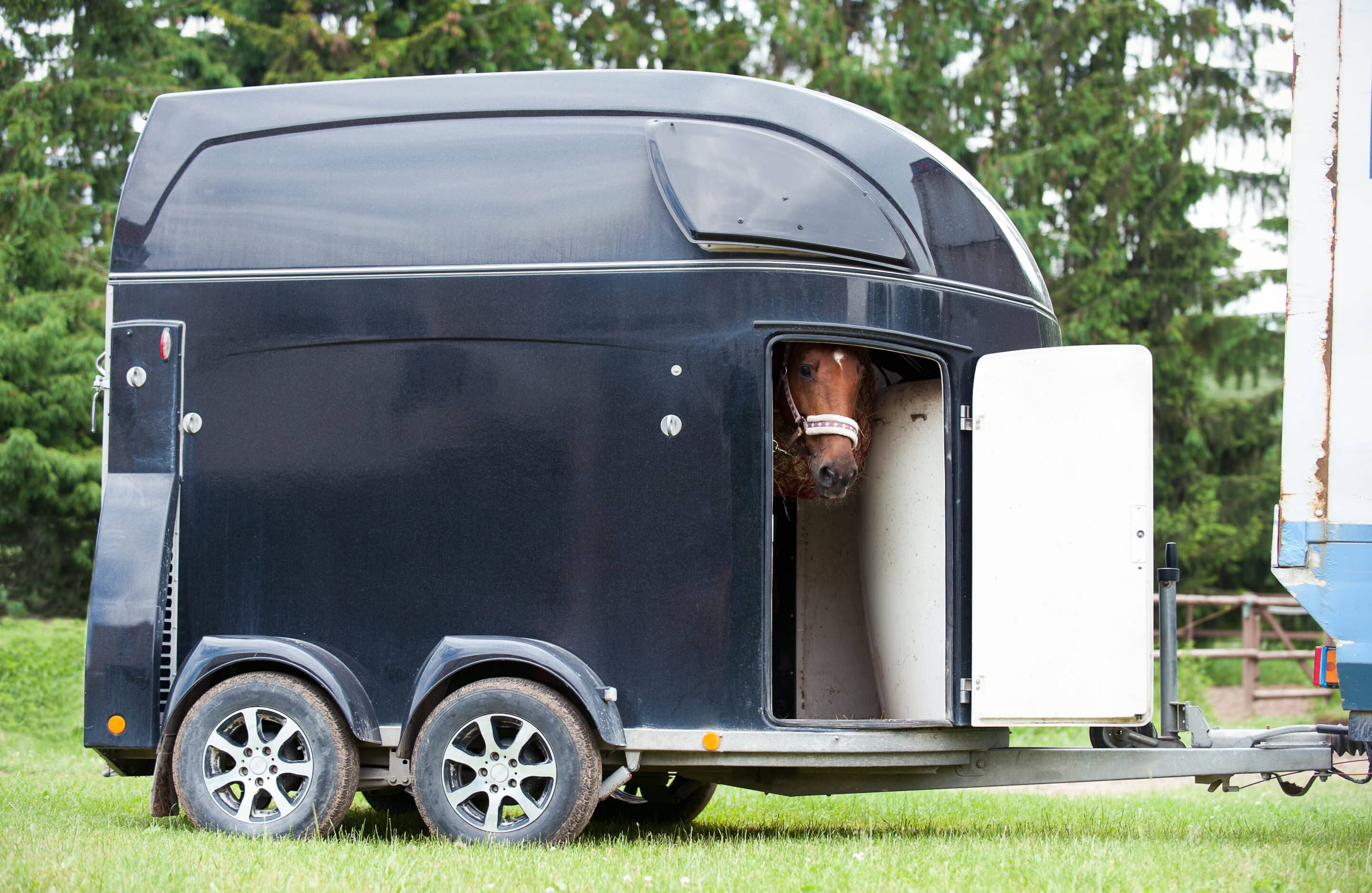 Skal din heste trailer til service